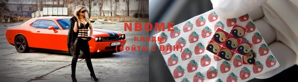 ПСИЛОЦИБИНОВЫЕ ГРИБЫ Алексин