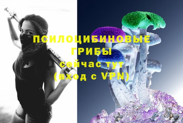 сатива Армянск