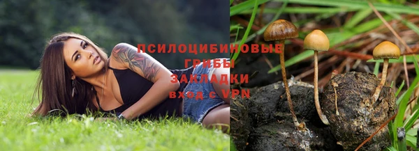 прущий лед Алексеевка