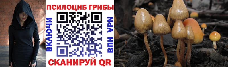 Псилоцибиновые грибы мухоморы  Коломна 