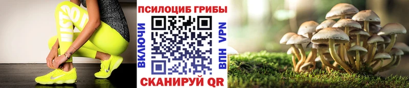 Галлюциногенные грибы прущие грибы Коломна